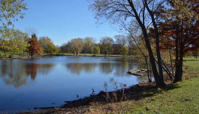 15 Things to Do in Schiller Park While You Are Having Your Car Serviced